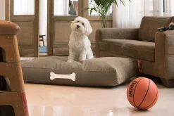 Fatboy Doggielounge L Canvas Grand coussin pour chien, gris, 80x120x15 cm