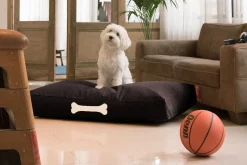 Fatboy Doggielounge L Canvas Grand coussin pour chien, black, 80x120x15 cm