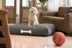 Fatboy Doggielounge L Canvas Grand coussin pour chien, gris, 80x120x15 cm